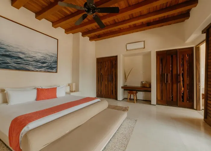 Hotel Palmas Luxury